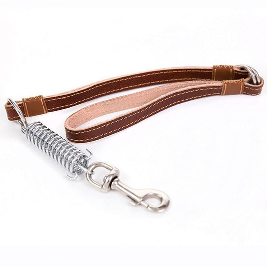 Pet Dog Leash Lead with Buckle Assorted Colours 4620