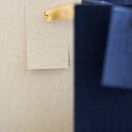 Embossed Matte Paper Gift Bag Large Assorted Colours P1906