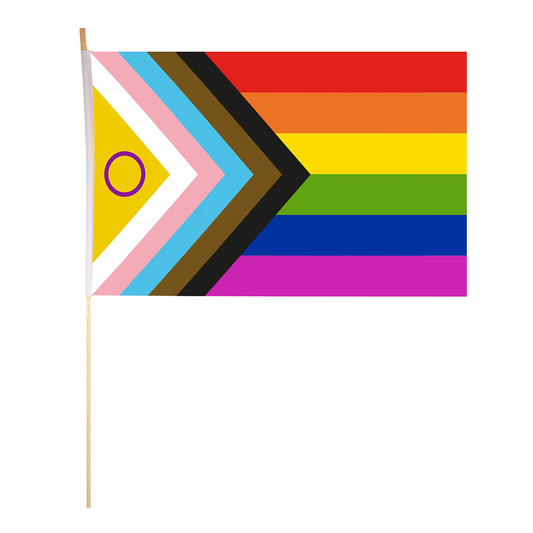 Pride Progress Hand Flag with Wooden Stick 45x30cm (12 Pack)