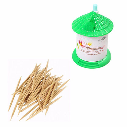 Plastic House Shaped Toothpick Holder with Toothpicks 7 x 7.2 cm Assorted Colours 4836