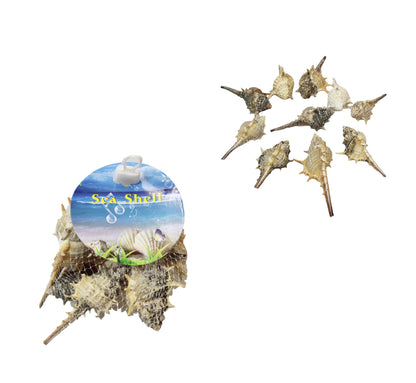 10 Piece Seashells Beach Fish Tank Display Assorted Seashells 4531 p