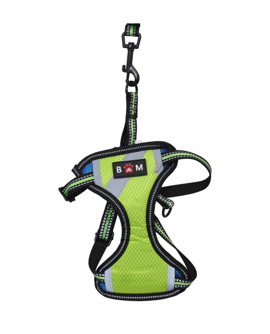 Small Size Dog Harness With Leash High Quality Straps Assorted Colours x 1 6034