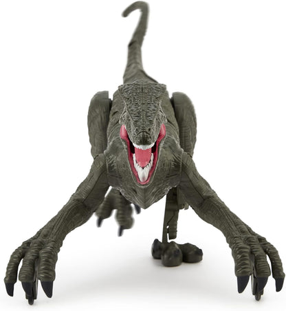 Remote Control RC Velociraptor Dinosaur with Sound & Lights