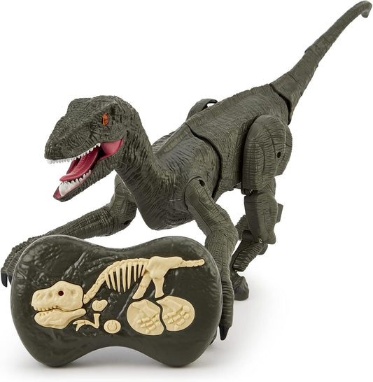 Remote Control RC Velociraptor Dinosaur with Sound & Lights