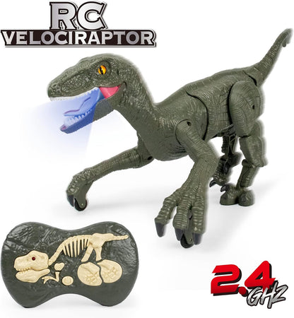 Remote Control RC Velociraptor Dinosaur with Sound & Lights