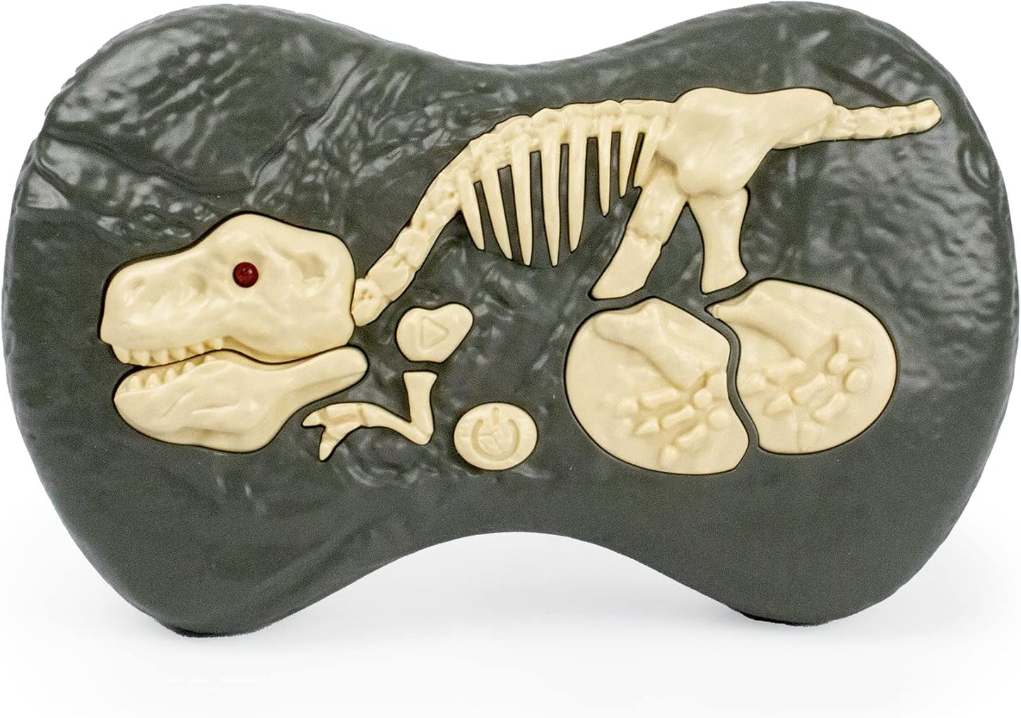 Remote Control RC Velociraptor Dinosaur with Sound & Lights