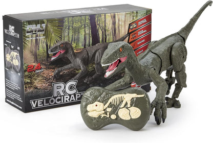 Remote Control RC Velociraptor Dinosaur with Sound & Lights