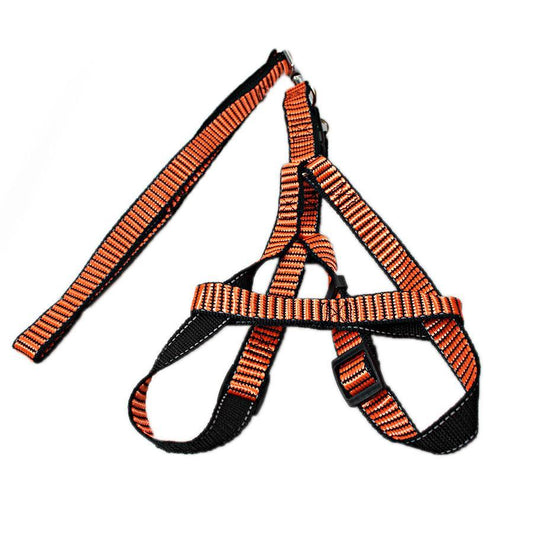 Pet Dog Leash with Harkness Assorted Colours 5034
