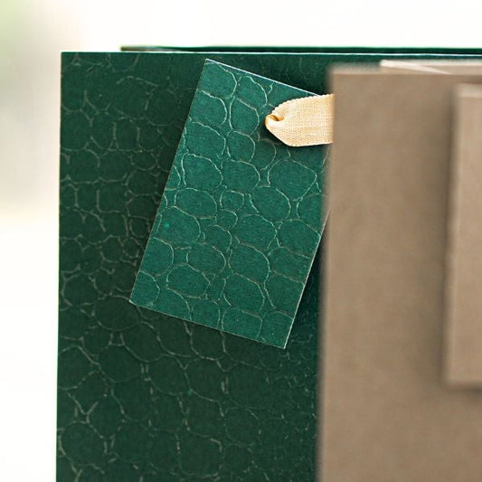 Embossed Matte Paper Gift Bag Medium Assorted Colours P1905