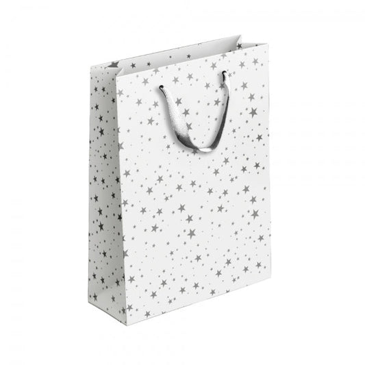 Gold / Silver Patterned Paper Gift Bag Large Assorted Designs P1911